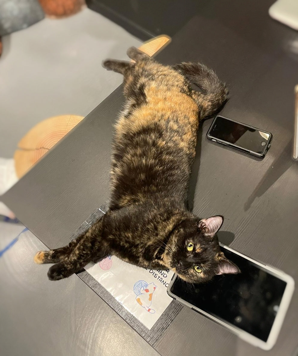 Maya