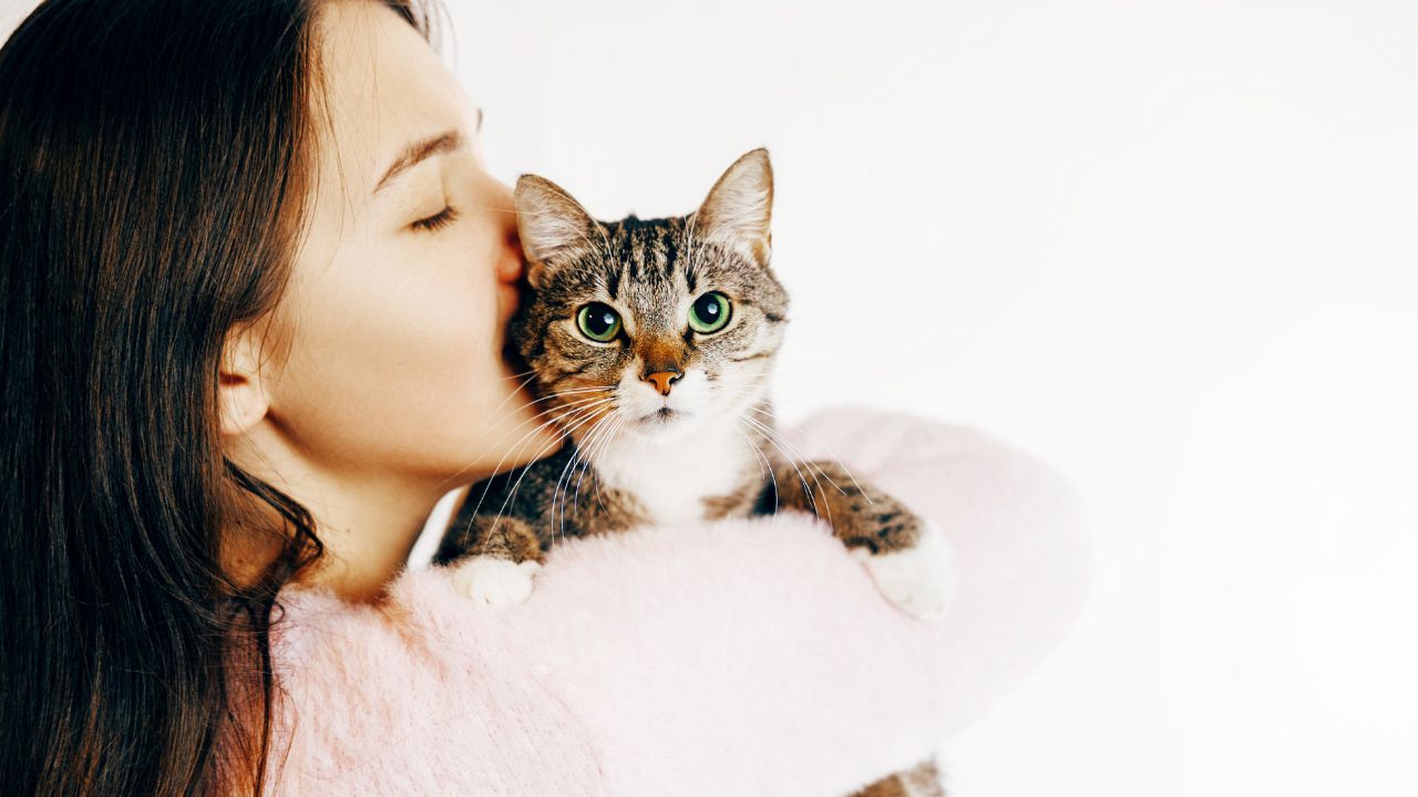 5 Ways to Show Your Cat You Love Them