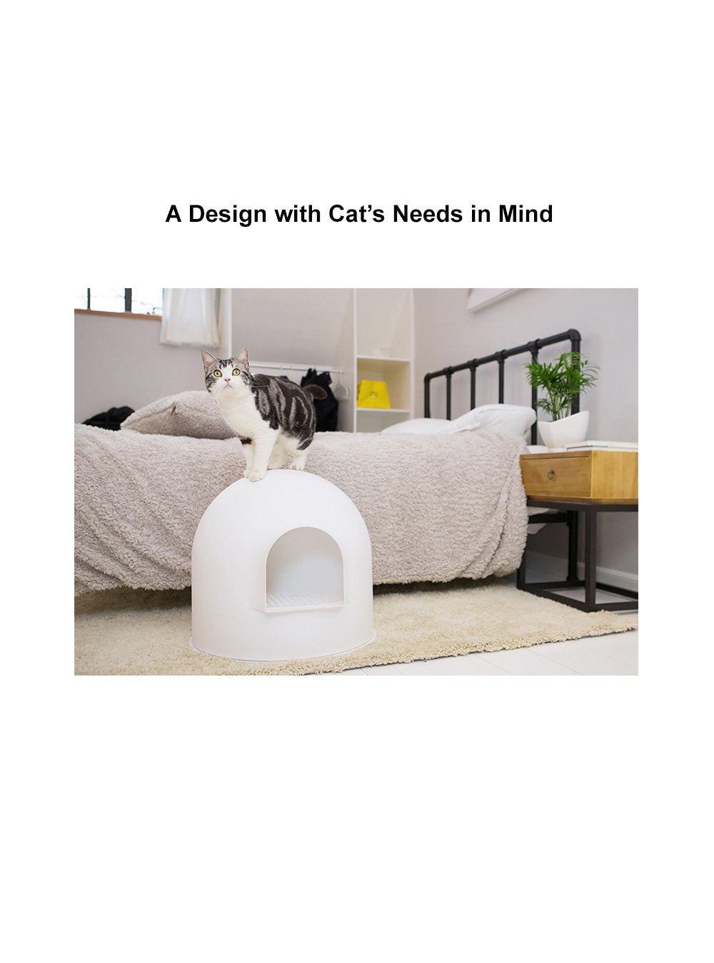 Igloo Cat Litter Box (Bonus Litter!) - Catoro