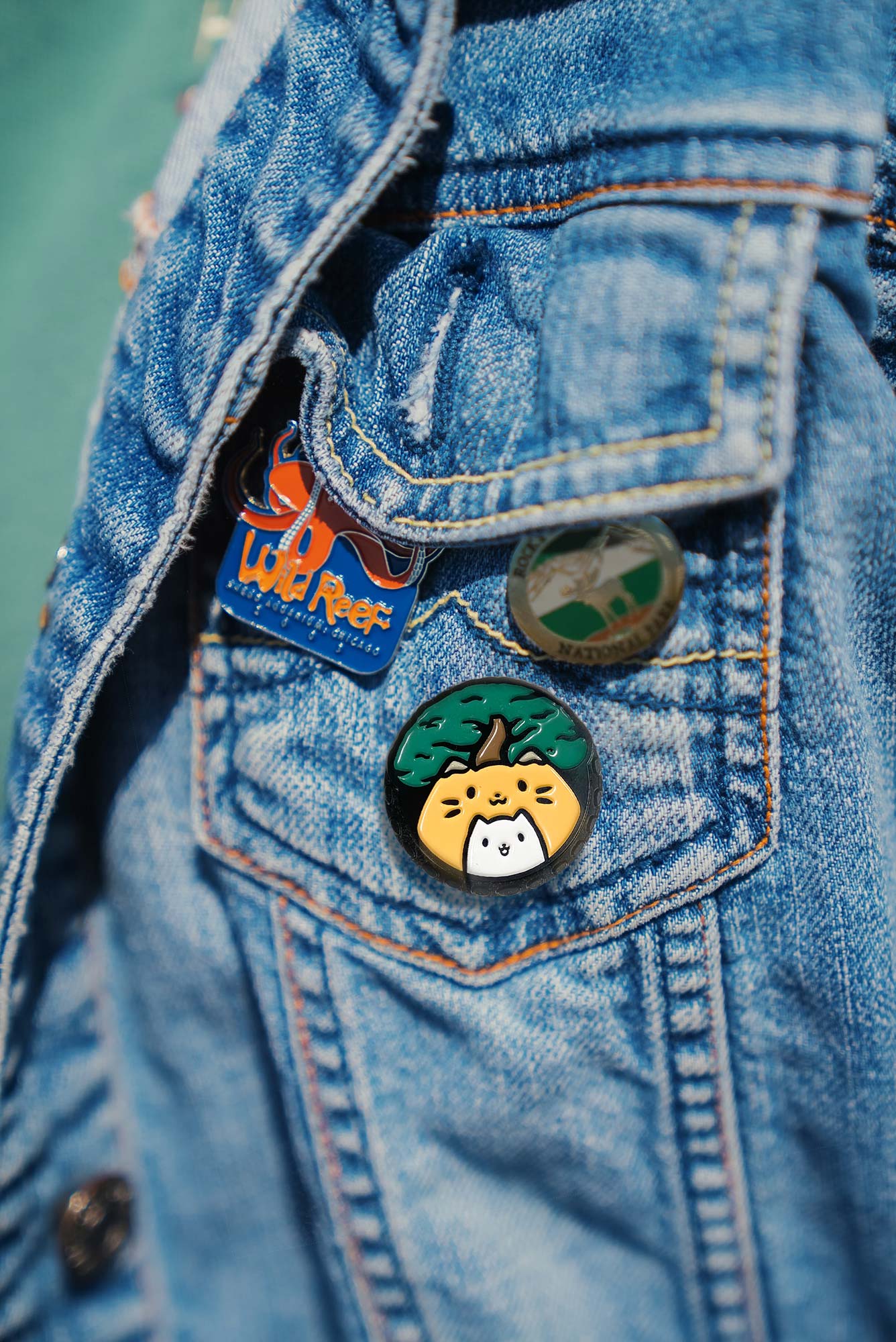 Catoro Logo Enamel Pin