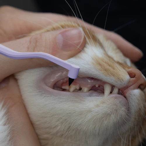 RYERCAT Dual Sided Cat Toothbrush