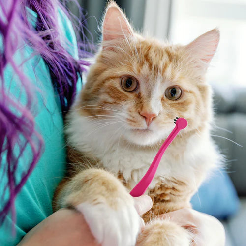 RYERCAT Dual Sided Cat Toothbrush