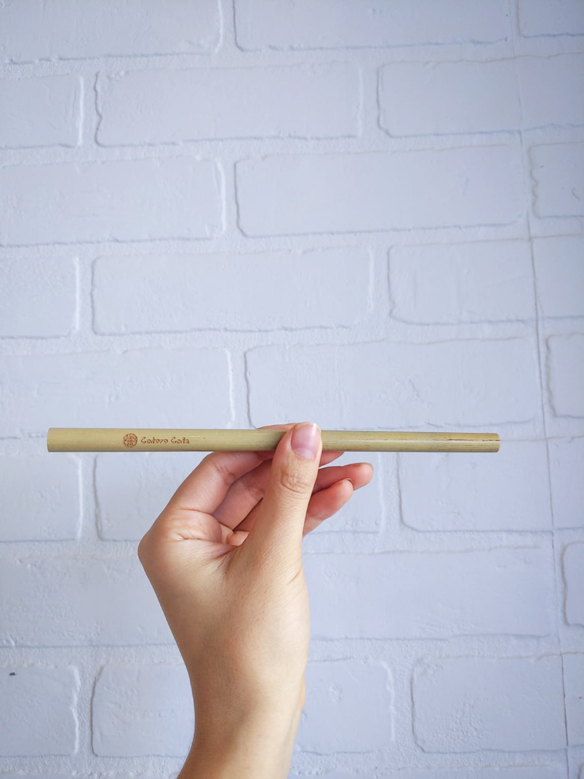 Reusable Bamboo Straw Kit - Catoro